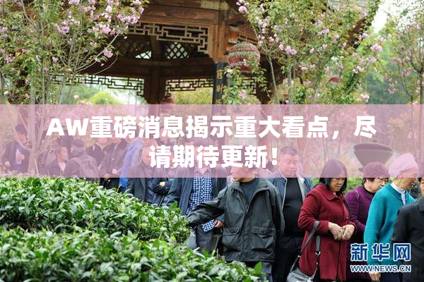 AW重磅消息揭示重大看点，尽请期待更新！
