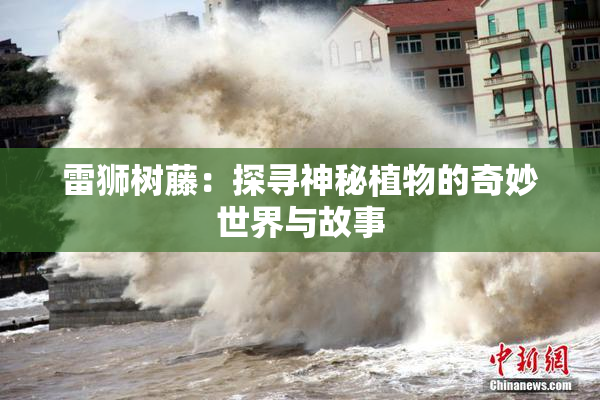 雷狮树藤：探寻神秘植物的奇妙世界与故事