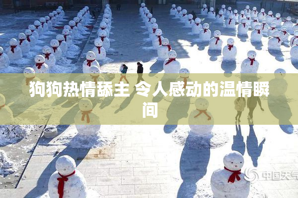 狗狗热情舔主 令人感动的温情瞬间