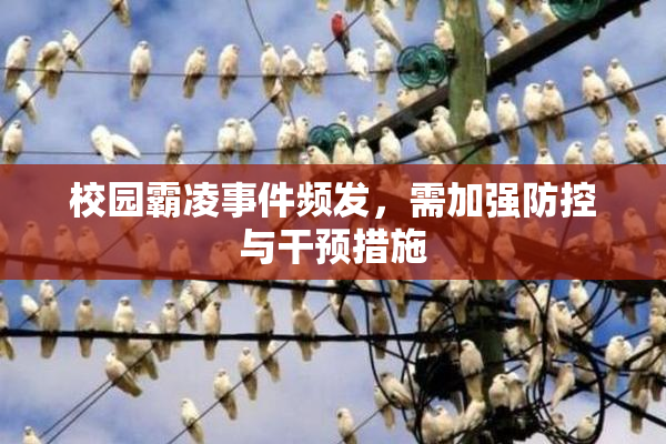校园霸凌事件频发，需加强防控与干预措施