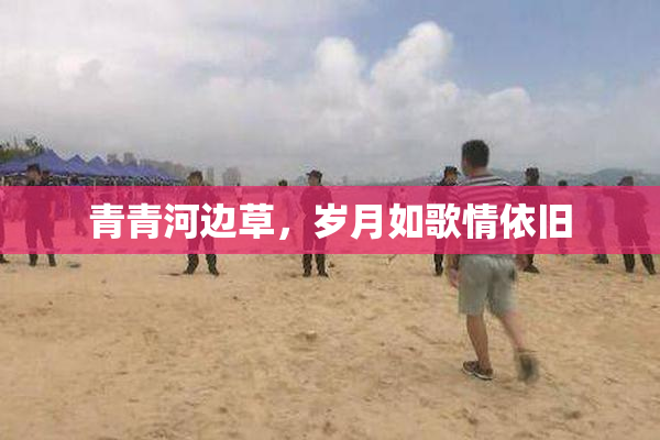 青青河边草，岁月如歌情依旧