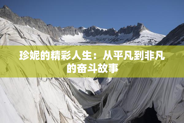 珍妮的精彩人生：从平凡到非凡的奋斗故事