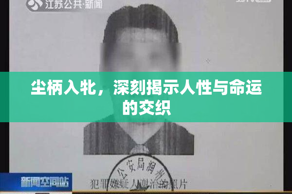 尘柄入牝，深刻揭示人性与命运的交织