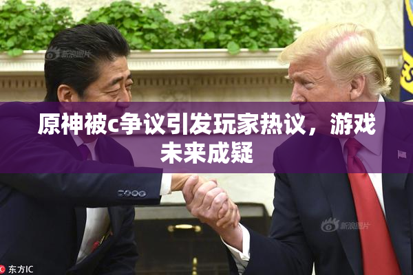 原神被c争议引发玩家热议，游戏未来成疑