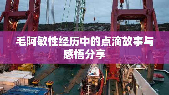 毛阿敏性经历中的点滴故事与感悟分享