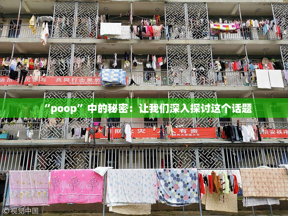 “poop”中的秘密：让我们深入探讨这个话题