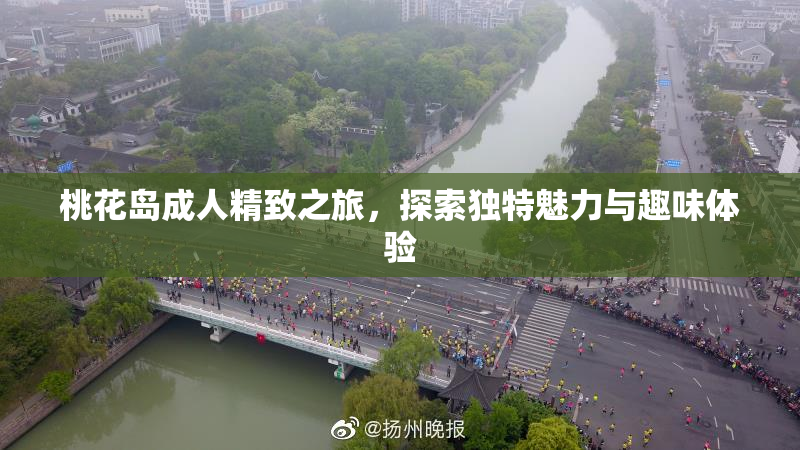 桃花岛成人精致之旅，探索独特魅力与趣味体验