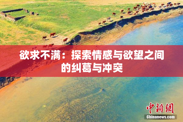 欲求不满：探索情感与欲望之间的纠葛与冲突