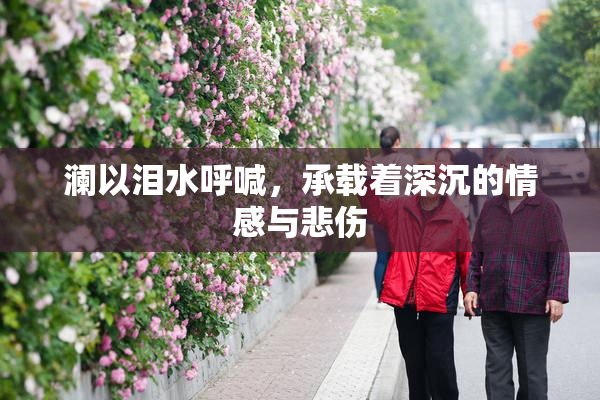 澜以泪水呼喊，承载着深沉的情感与悲伤