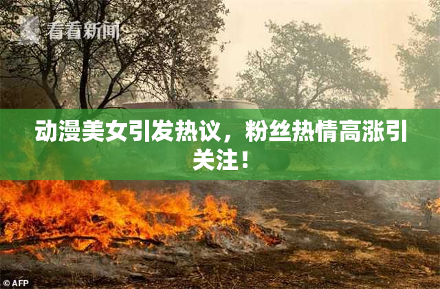动漫美女引发热议，粉丝热情高涨引关注！