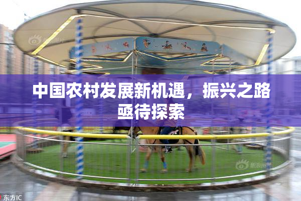 中国农村发展新机遇，振兴之路亟待探索
