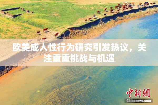 欧美成人性行为研究引发热议，关注重重挑战与机遇
