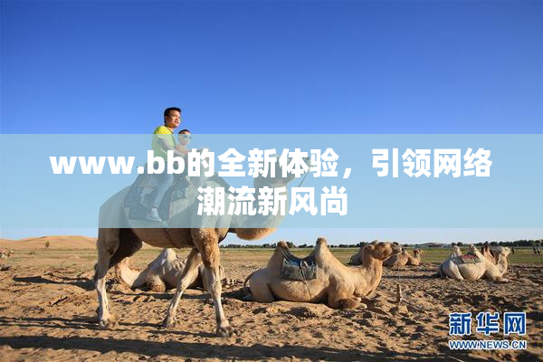 www.bb的全新体验，引领网络潮流新风尚
