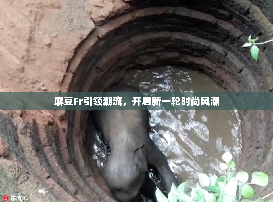 麻豆Fr引领潮流，开启新一轮时尚风潮