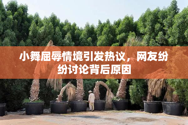小舞屈辱情境引发热议，网友纷纷讨论背后原因