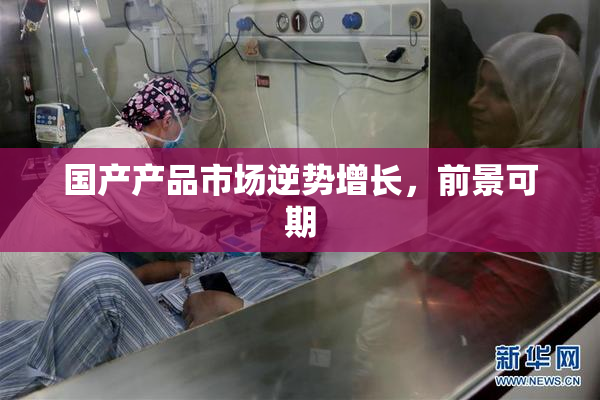 国产产品市场逆势增长，前景可期