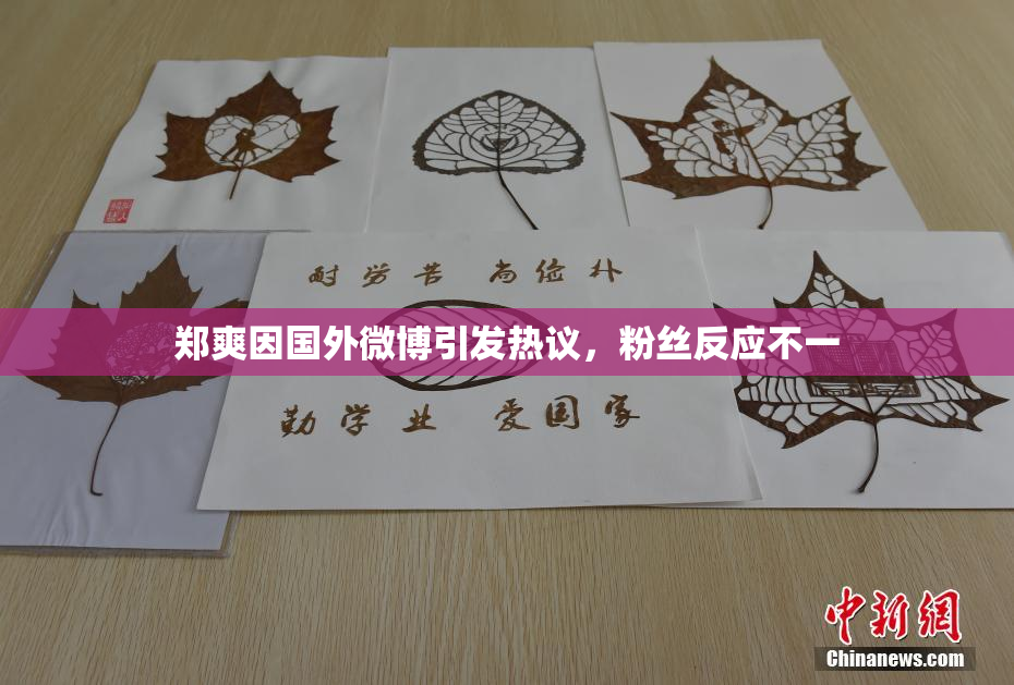 郑爽因国外微博引发热议，粉丝反应不一