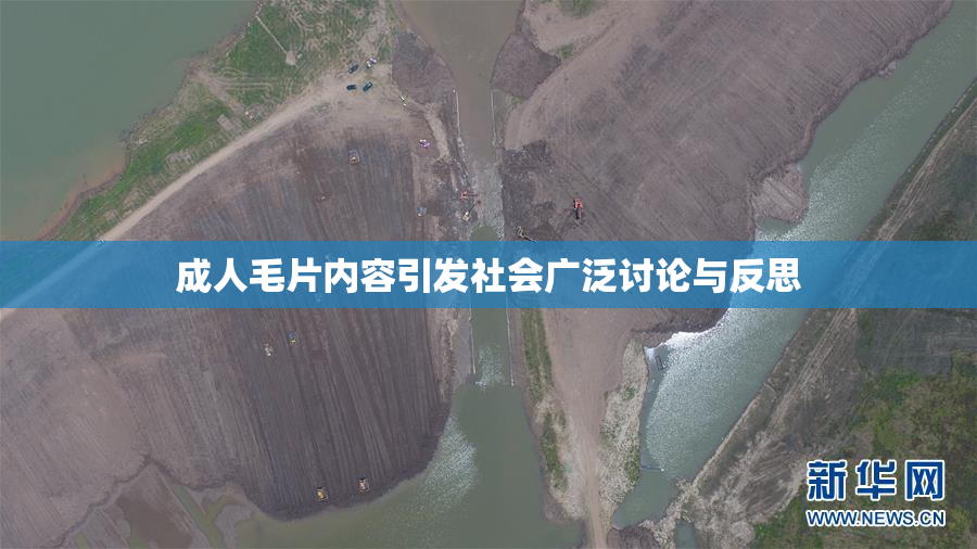 成人毛片内容引发社会广泛讨论与反思