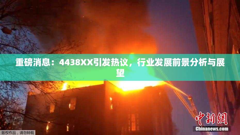 重磅消息：4438XX引发热议，行业发展前景分析与展望