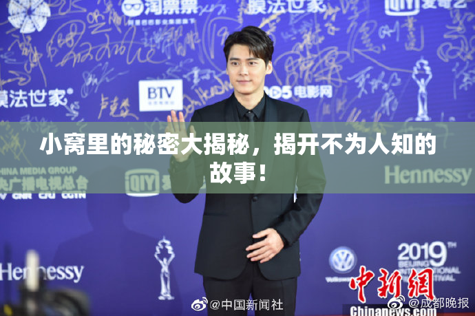 小窝里的秘密大揭秘，揭开不为人知的故事！