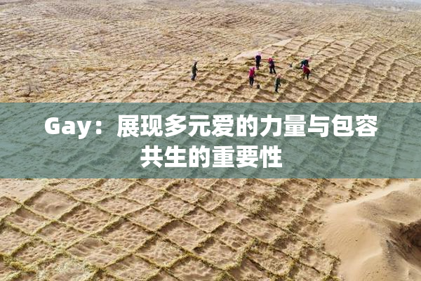 Gay：展现多元爱的力量与包容共生的重要性