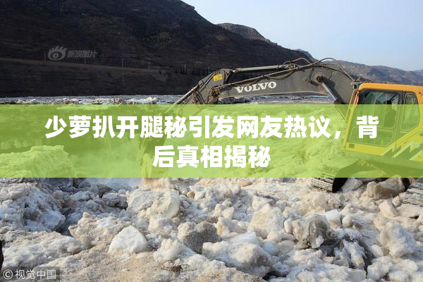 少萝扒开腿秘引发网友热议，背后真相揭秘