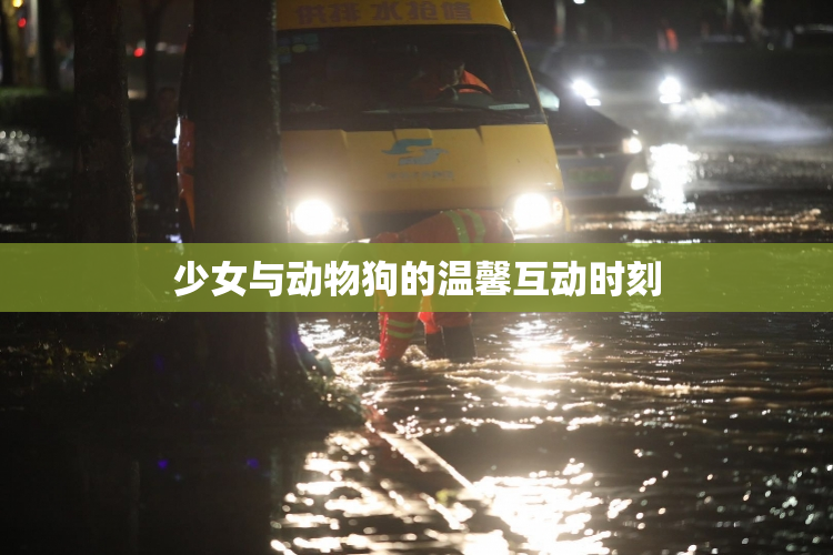 少女与动物狗的温馨互动时刻