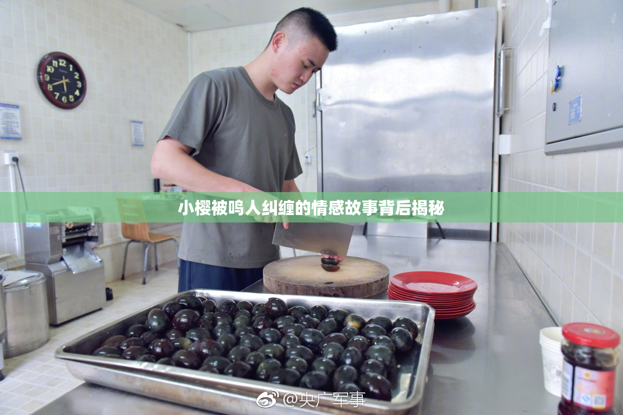 小樱被鸣人纠缠的情感故事背后揭秘