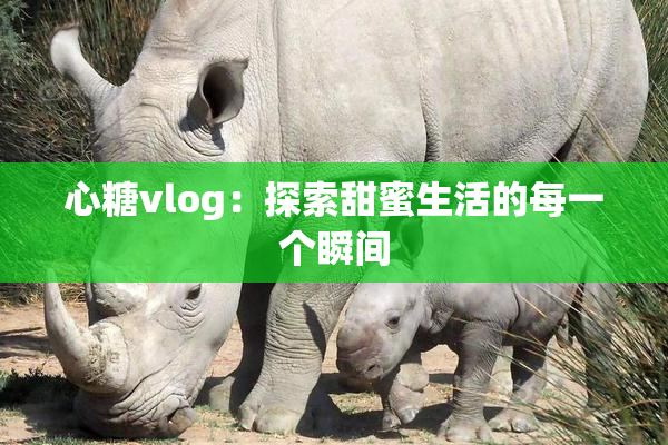 心糖vlog：探索甜蜜生活的每一个瞬间