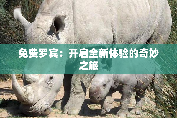 免费罗宾：开启全新体验的奇妙之旅