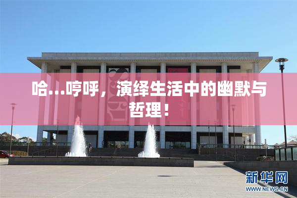 哈…哼呼，演绎生活中的幽默与哲理！