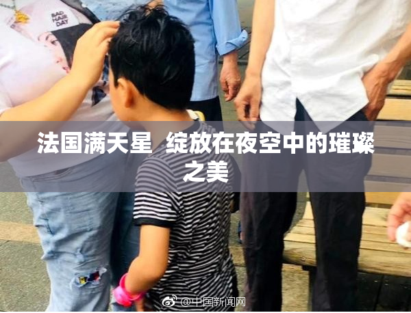 法国满天星  绽放在夜空中的璀璨之美
