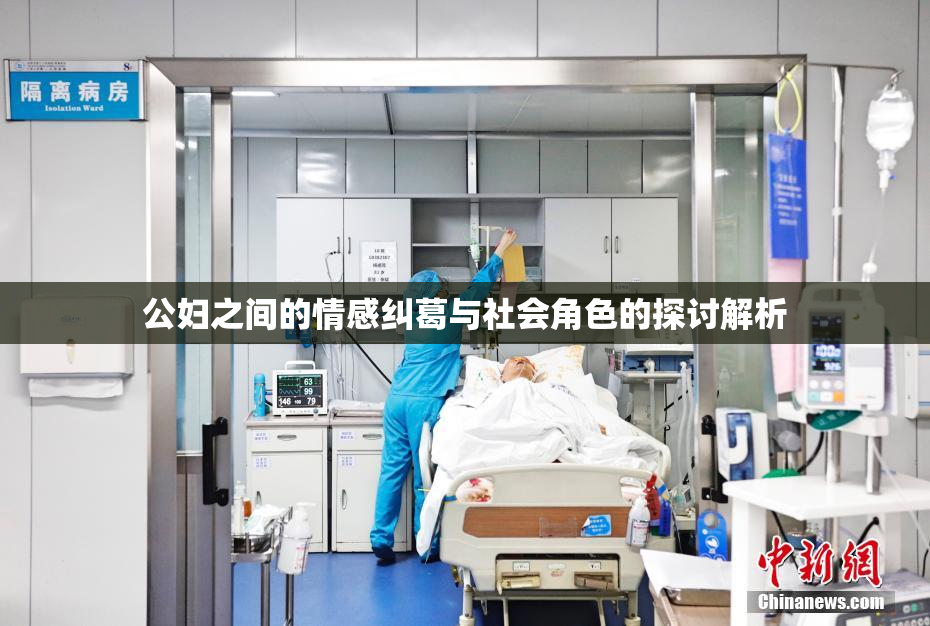 公妇之间的情感纠葛与社会角色的探讨解析
