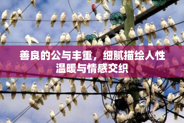 善良的公与丰重，细腻描绘人性温暖与情感交织