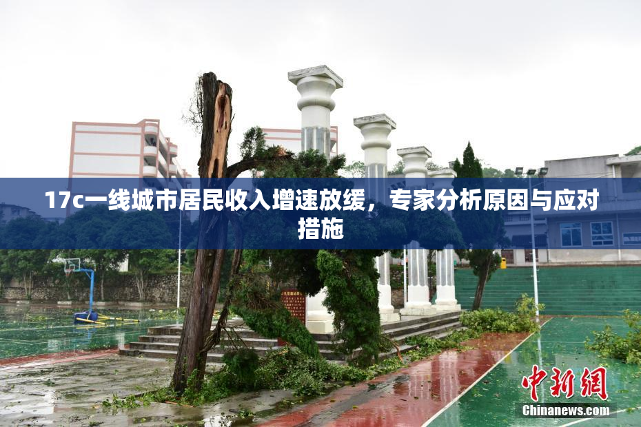17c一线城市居民收入增速放缓，专家分析原因与应对措施