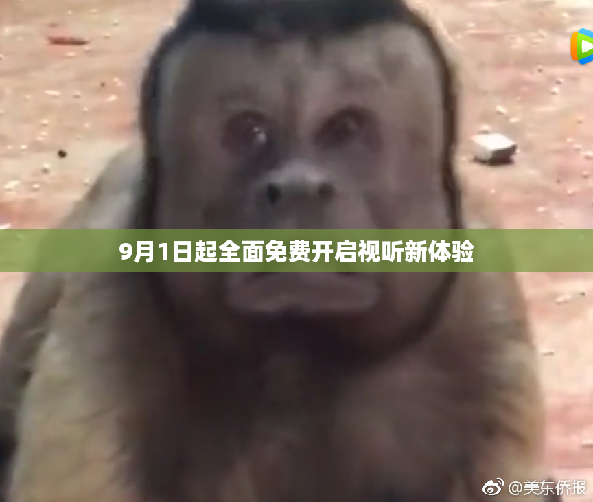 9月1日起全面免费开启视听新体验