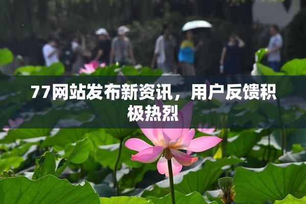 77网站发布新资讯，用户反馈积极热烈