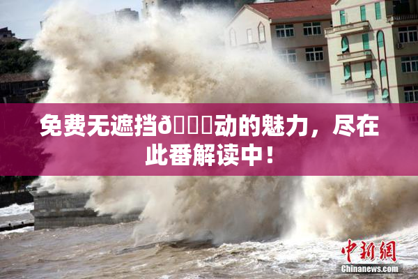 免费无遮挡🔞动的魅力，尽在此番解读中！