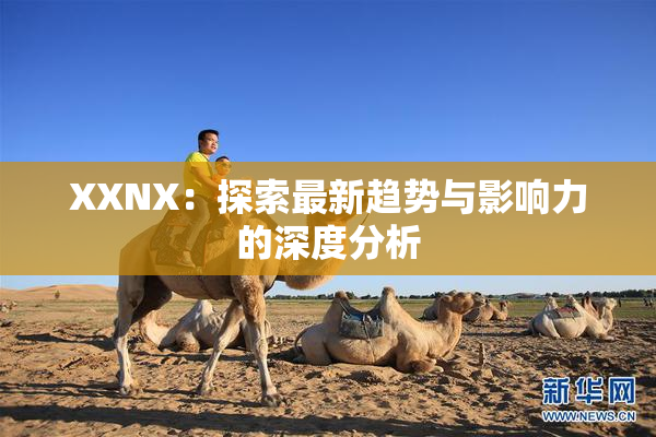 XXNX：探索最新趋势与影响力的深度分析