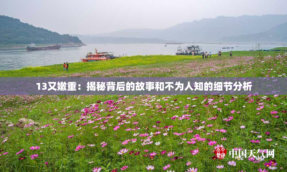 13又嫩重：揭秘背后的故事和不为人知的细节分析