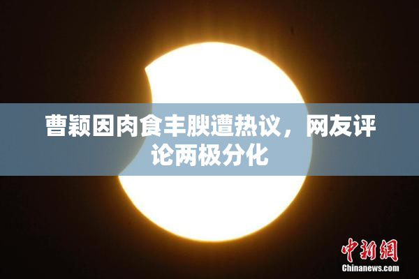 曹颖因肉食丰腴遭热议，网友评论两极分化