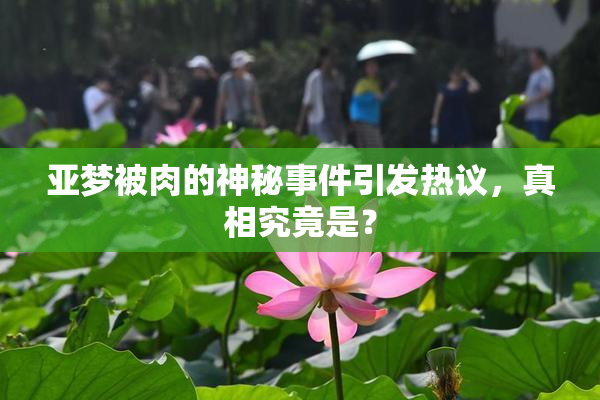 亚梦被肉的神秘事件引发热议，真相究竟是？