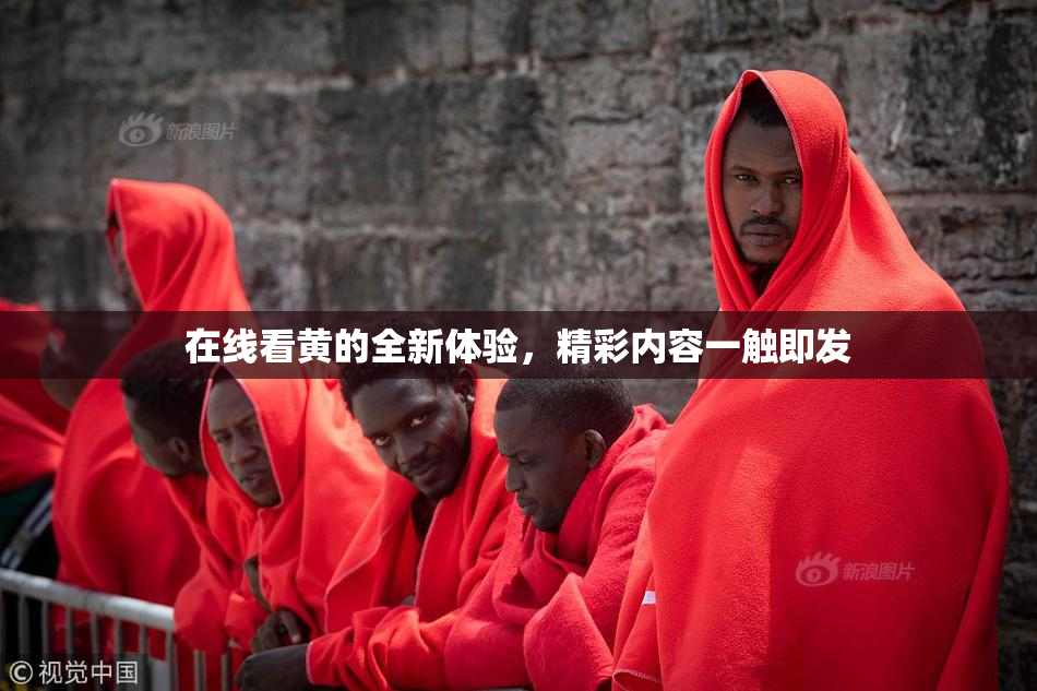 在线看黄的全新体验，精彩内容一触即发