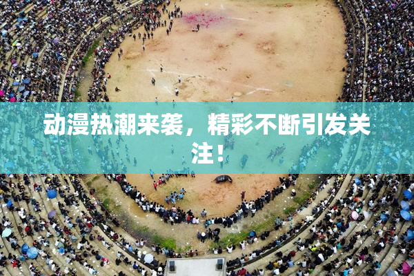 动漫热潮来袭，精彩不断引发关注！