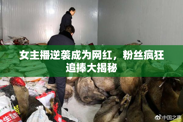 女主播逆袭成为网红，粉丝疯狂追捧大揭秘