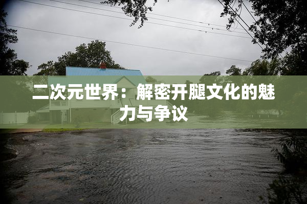 二次元世界：解密开腿文化的魅力与争议
