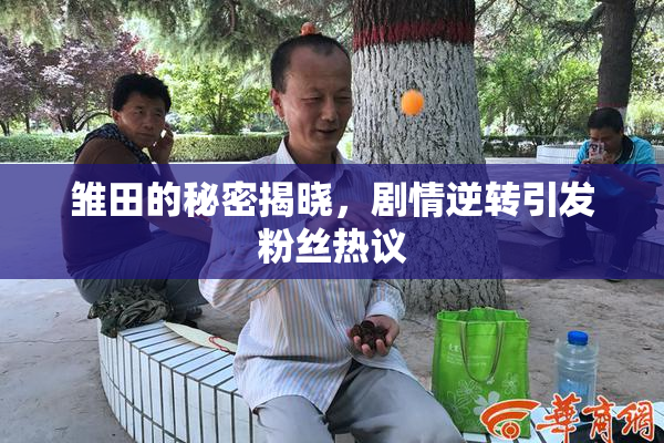 雏田的秘密揭晓，剧情逆转引发粉丝热议