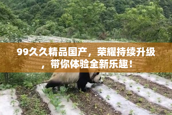 99久久精品国产，荣耀持续升级，带你体验全新乐趣！