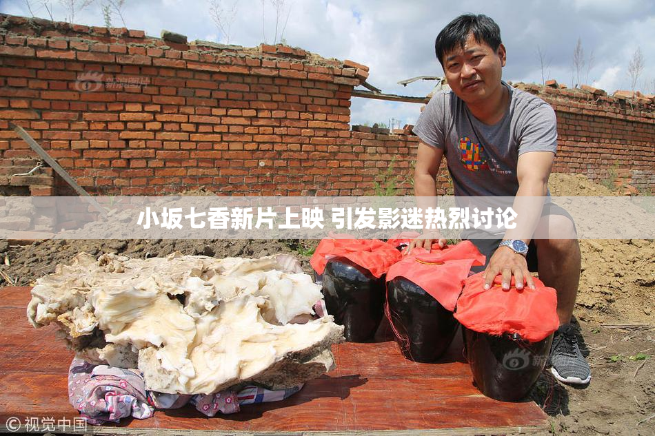 小坂七香新片上映 引发影迷热烈讨论