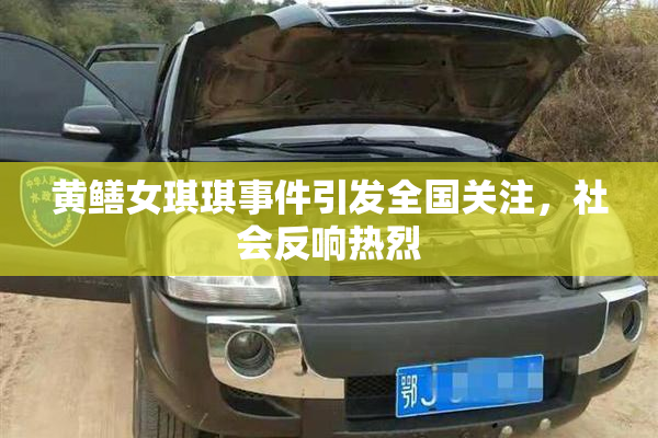 黄鳝女琪琪事件引发全国关注，社会反响热烈